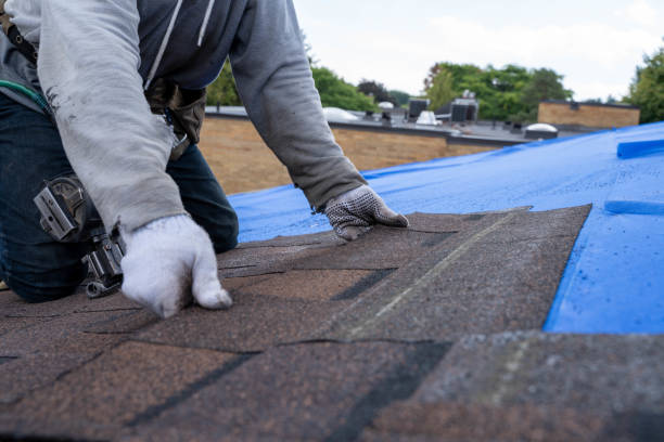 Best Residential Roofing Contractor  in Battle Creek, MI