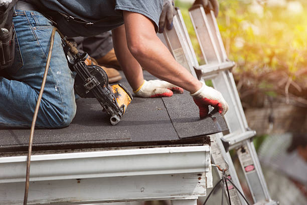 Roof Gutter Cleaning in Battle Creek, MI